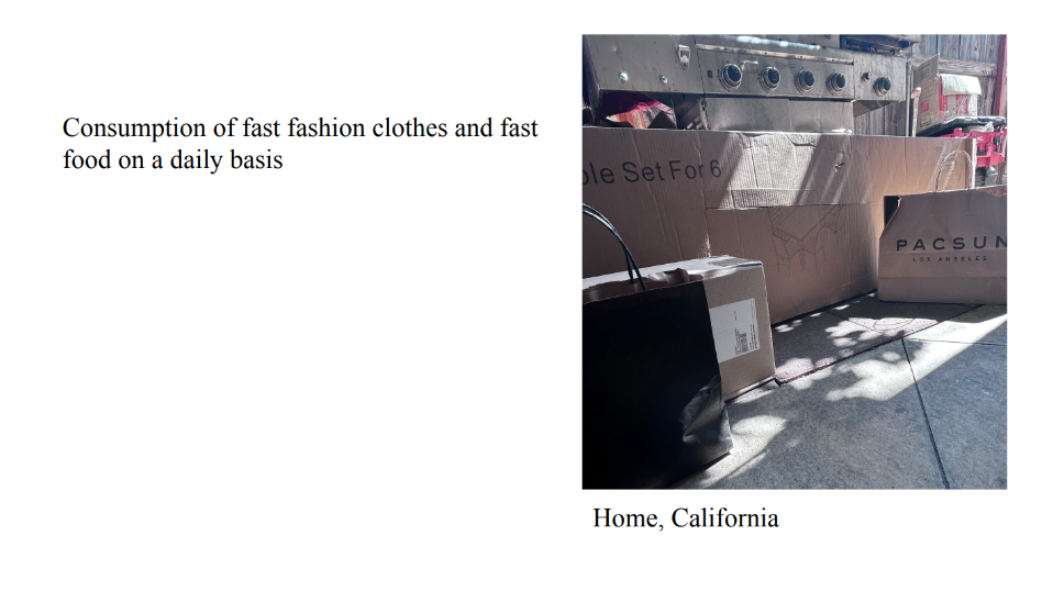 Photo of boxes and shopping bags outside. Caption: Home, California. Text: 
					Consumption of fast fashion clothes and fast 
food on a daily basis.